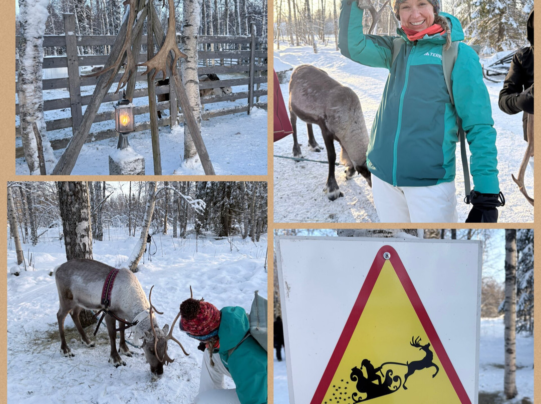 Sea Lapland Safaris-凯米必去景点