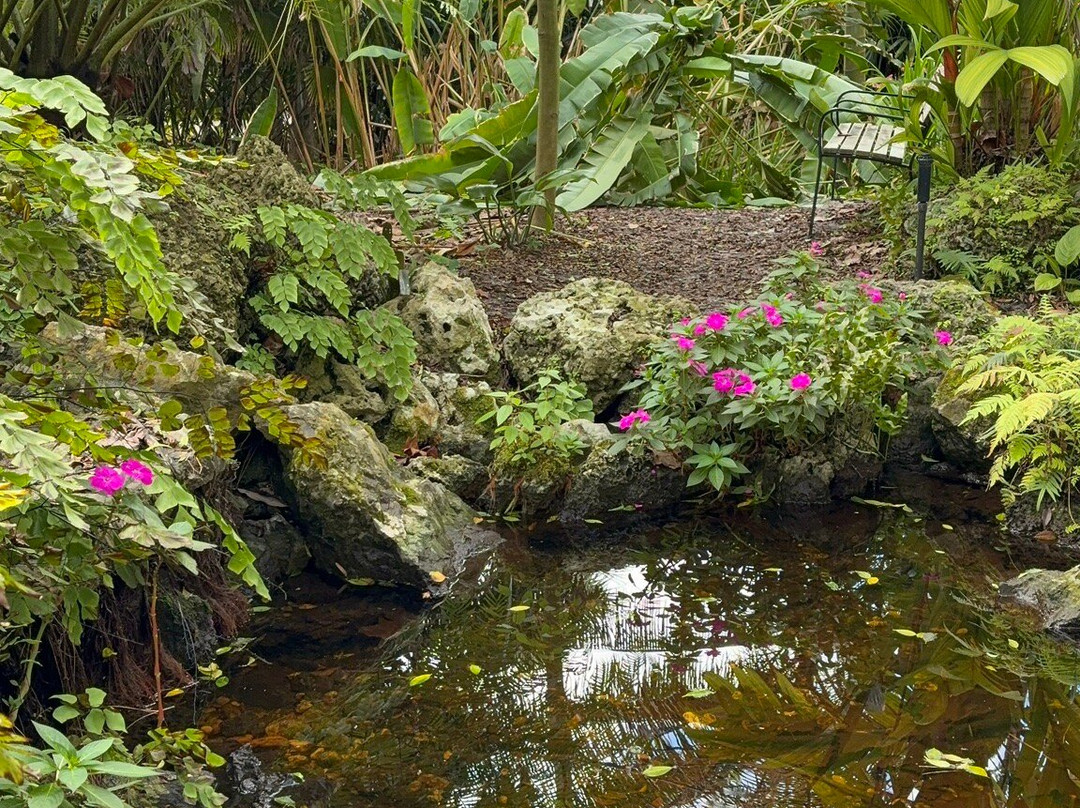 Deerfield Beach Arboretum-迪尔菲尔德比奇必去景点