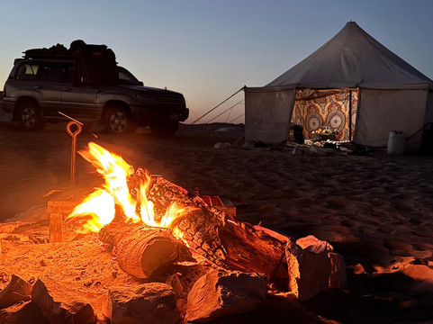 tamer safari-开罗必去景点