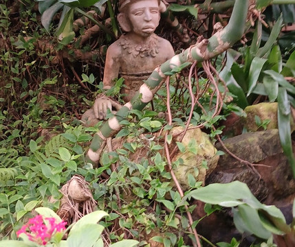 Stratford Butterfly Farm-埃文河畔斯特拉特福必去景点