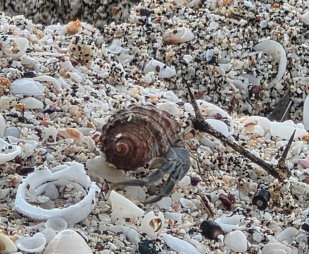 Playa Baquerizo-Puerto Baquerizo Moreno必去景点