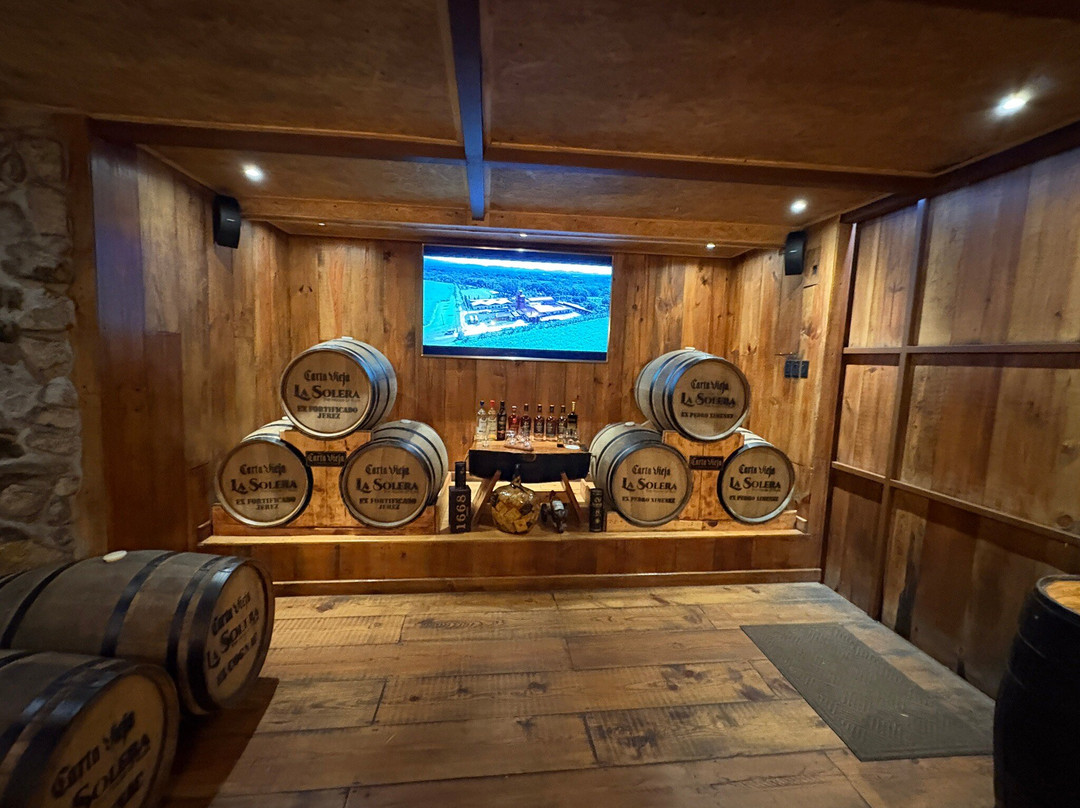 Tree Trek Boquete-波魁特必去景点