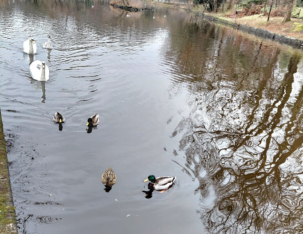 Dalmuir Park-Clydebank必去景点