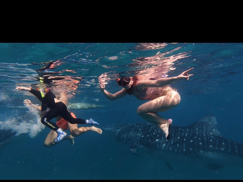 Highland Adventure Tours-达拉盖地必去景点