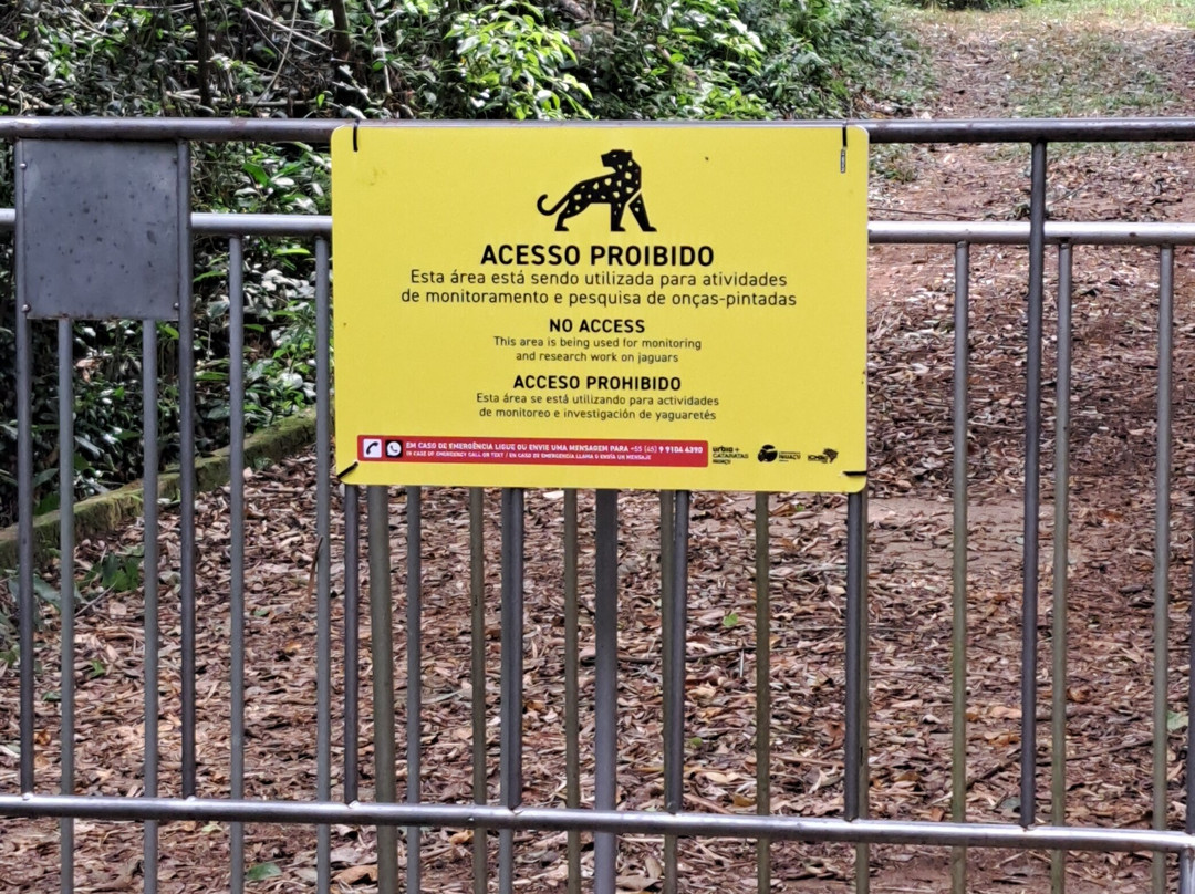 Poco Preto trail-伊瓜苏必去景点