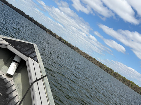 Borels swamp tours-布里奥克斯桥必去景点