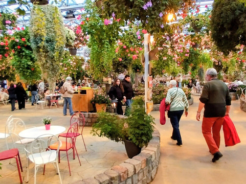 Plantropica-Luttelgeest必去景点