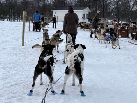 Aurora Alps-特罗姆瑟必去景点