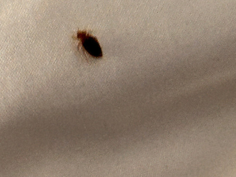 杰斐逊城凯艺套房酒店主图