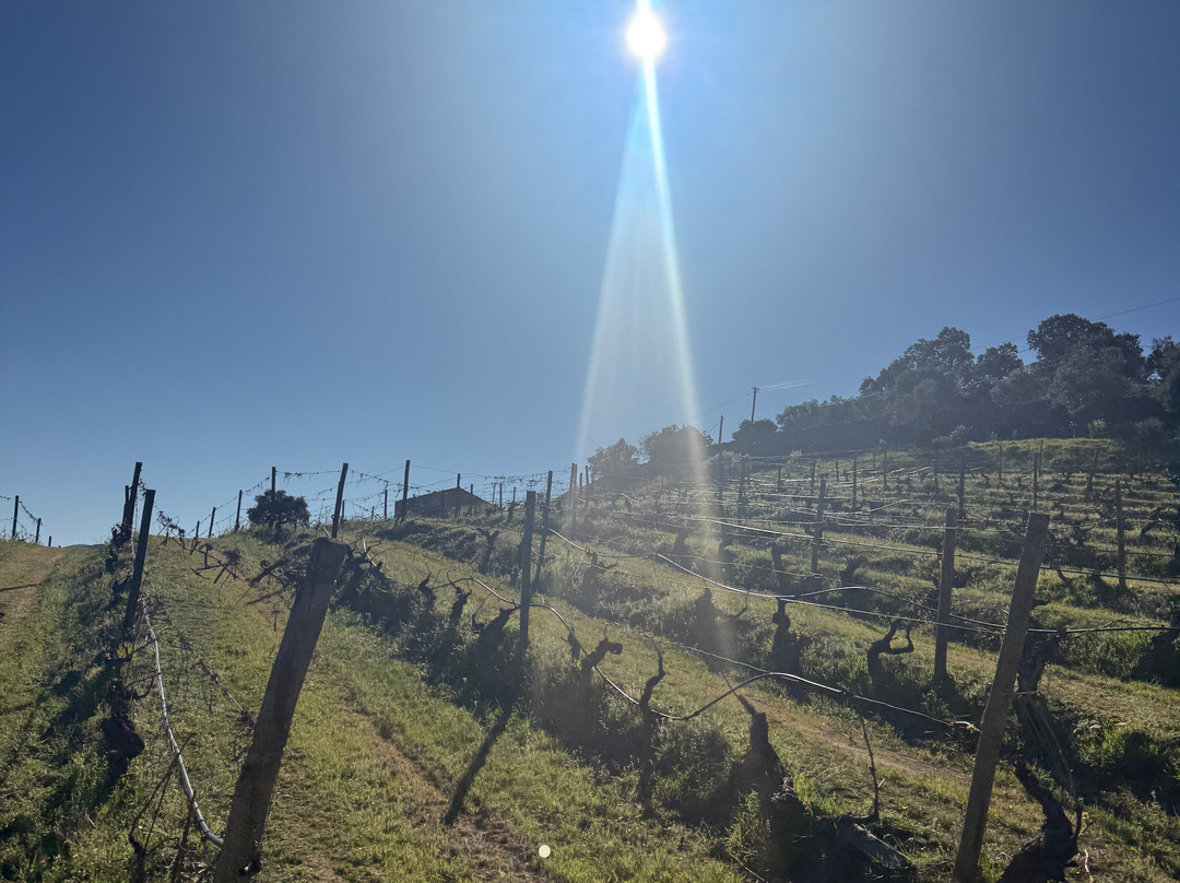 Quinta do Vale Meao-Vila Nova de Foz Coa必去景点