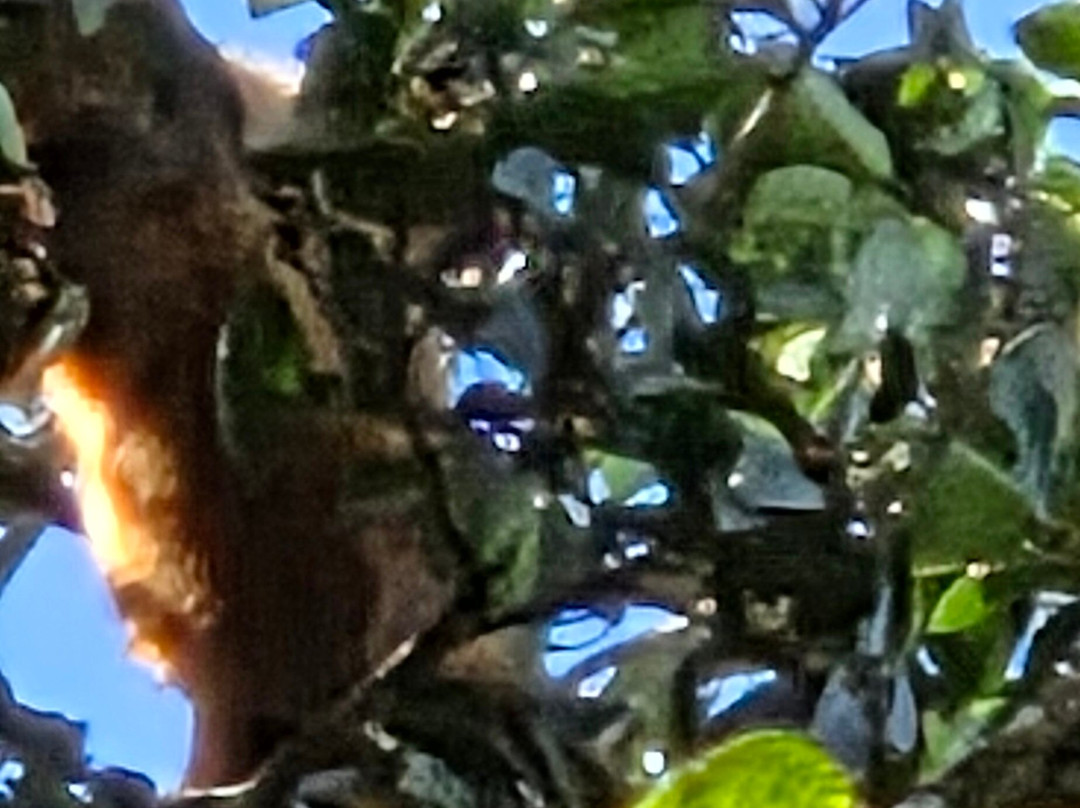 Amstar DMC-利比里亚必去景点