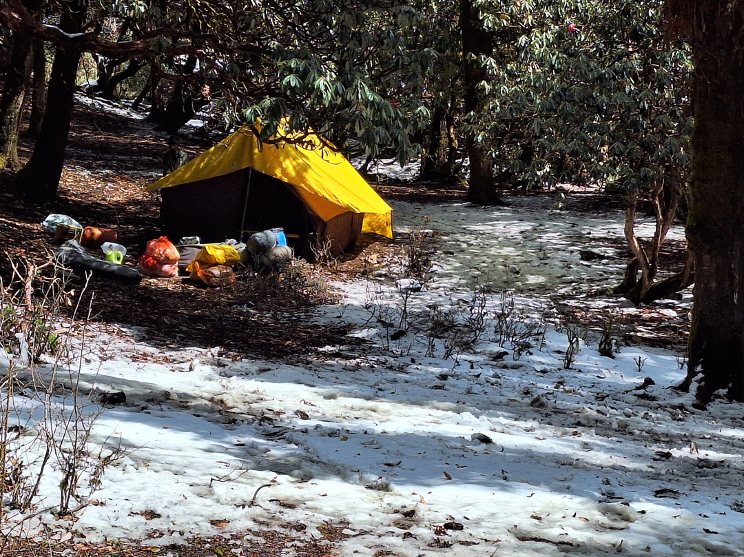 Himalaya Shelter-阿姆利则必去景点