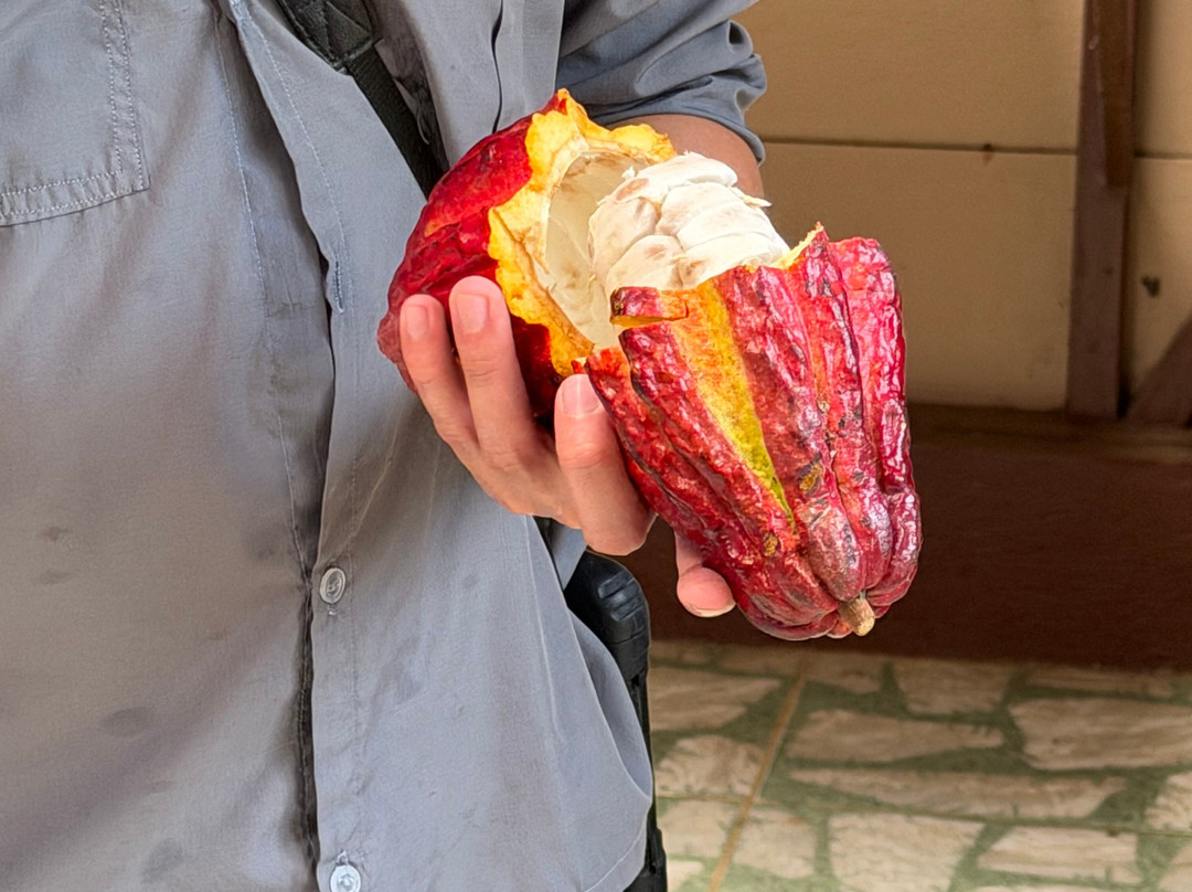 El Trapiche Tour-蒙特沃德必去景点