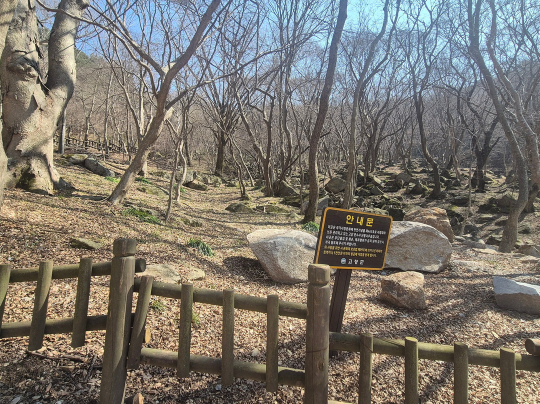 Gochang Munsusa Maple Tree Forest-高敞郡必去景点