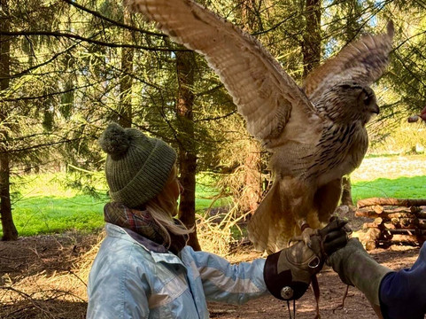 Bird on the Hand Falconry Experiences-Church Langton必去景点
