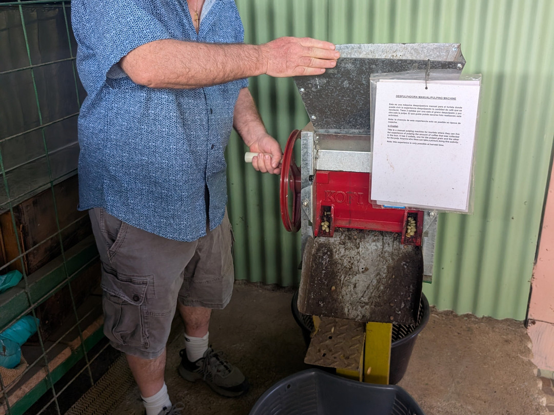 Café Artesanal Los Sauces-奥罗西必去景点