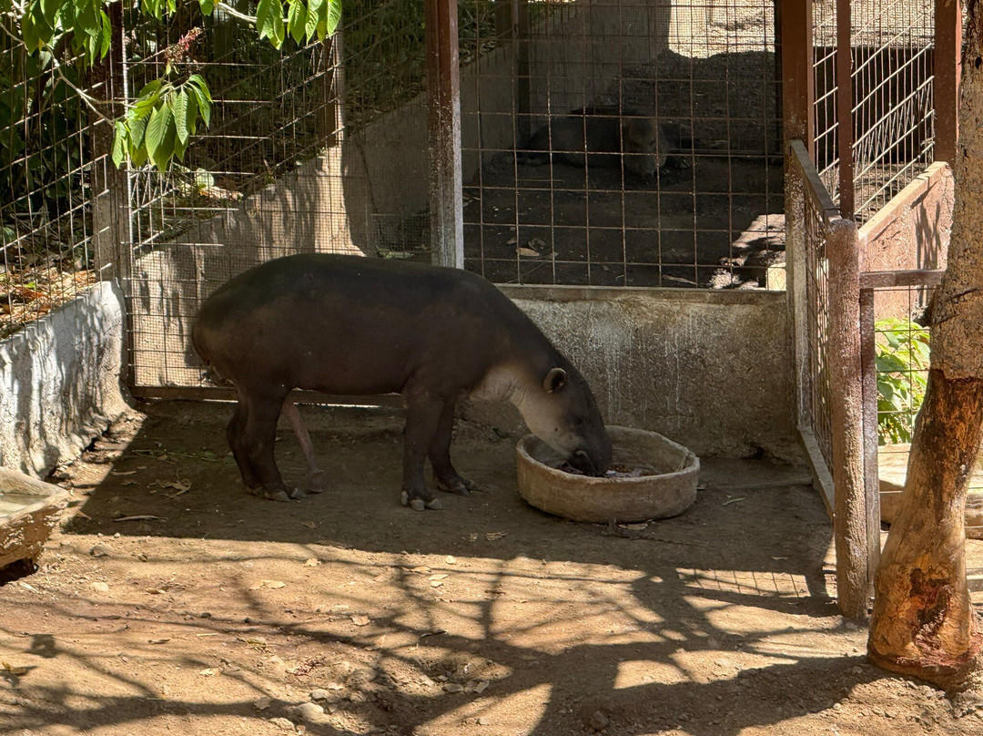 Diamante Eco Adventure Park-Playa Matapalo必去景点