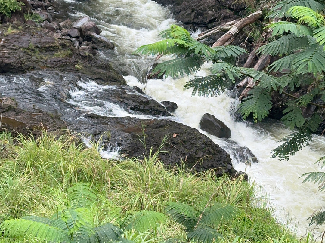 哈马库阿客栈主图