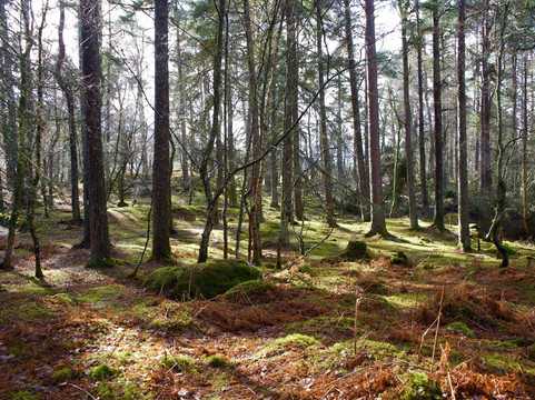 Aite Cruinnichidh主图