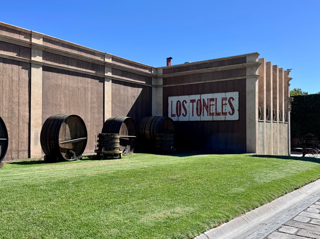 Bodega Los Toneles-门多萨必去景点