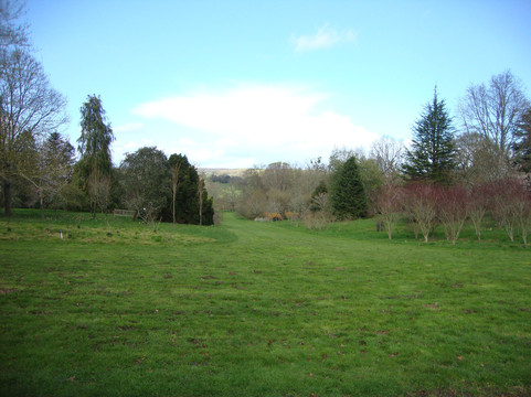 Sir Harold Hillier Gardens-罗姆西必去景点