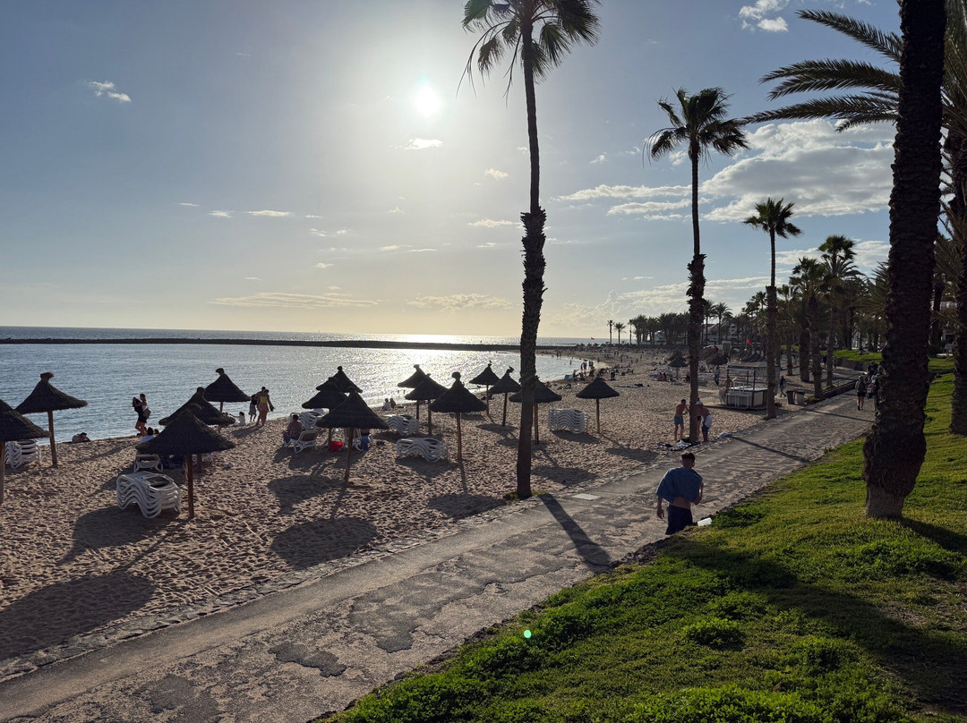 Playa del Camisón-美洲海滩必去景点