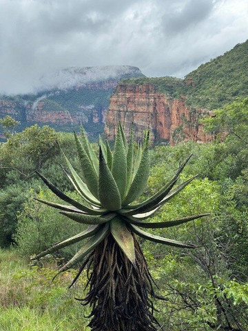 Dél-afrika-mozambik-尼斯普鲁特必去景点