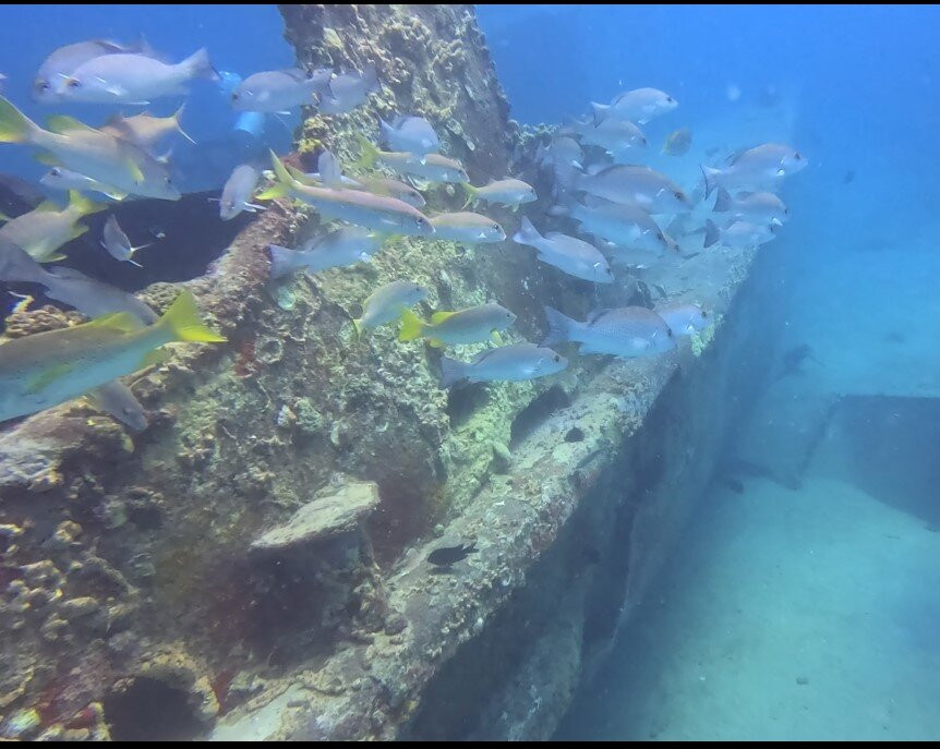 Scubafun-Bayahibe必去景点