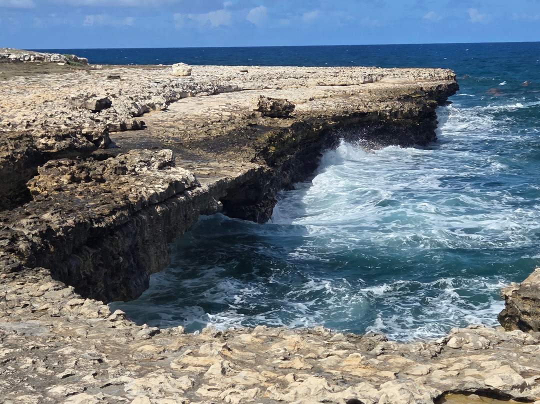 Tropical Adventures - Island Safari-圣 约翰必去景点