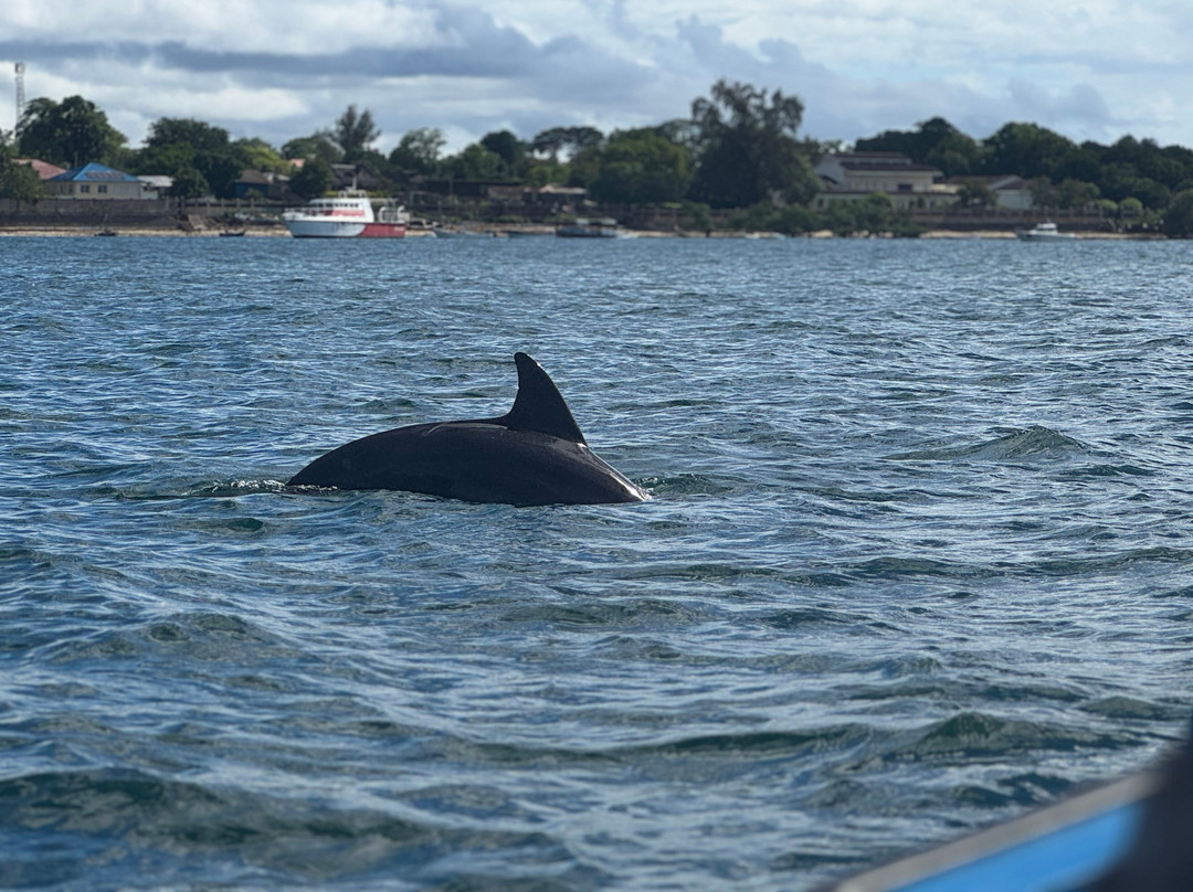 Chacal Expeditions - Day Tours-蒙巴萨必去景点