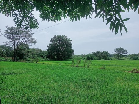 象屿度假酒店-官方