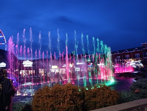 玛格丽塔维尔岛酒店-官方