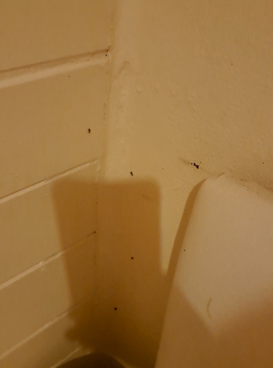 拉纳尔酒店-客卧