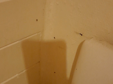 拉纳尔酒店主图