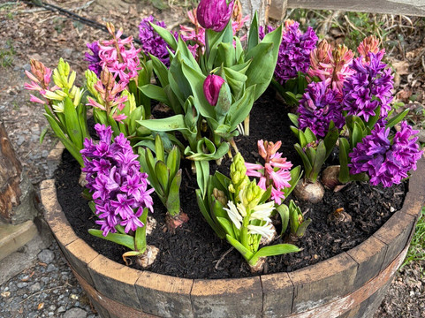 Tulleys-Turners Hill必去景点