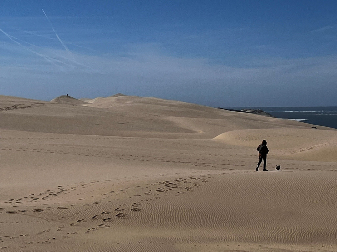 Great Dune of Pilat-拉泰斯特德比克必去景点