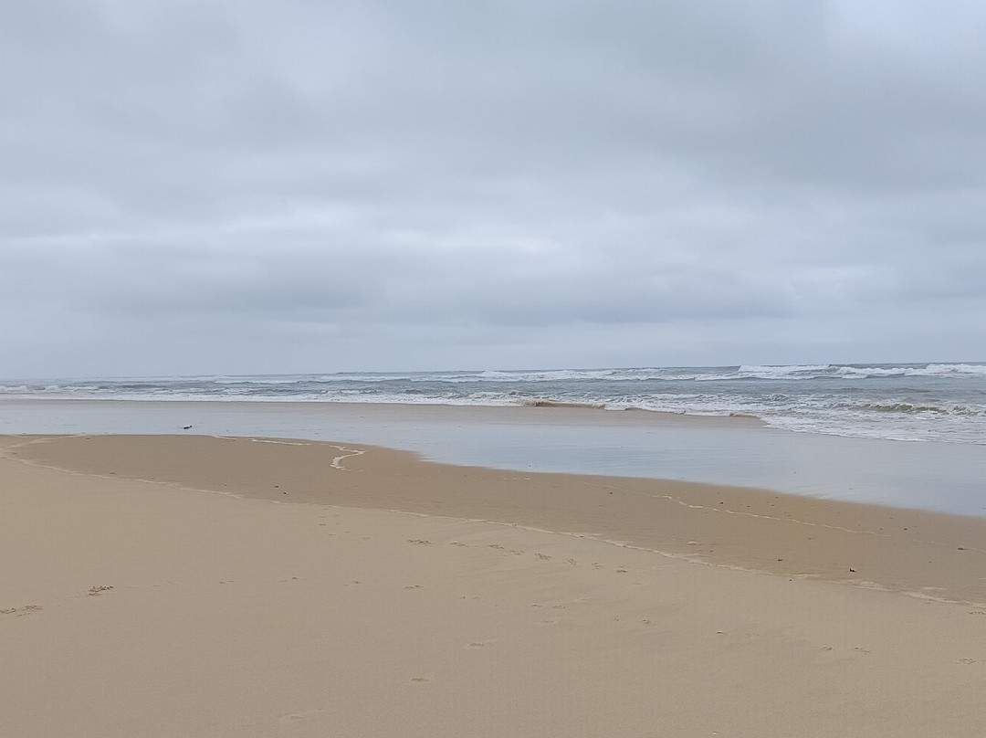 La Plage-Mimizan必去景点