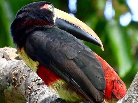 0S3 Private Tours-哈科必去景点