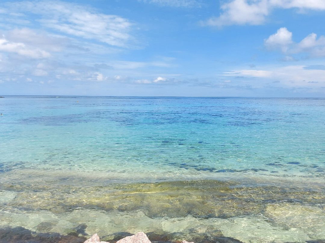 Anse Royale Beach-皇家沙滩必去景点
