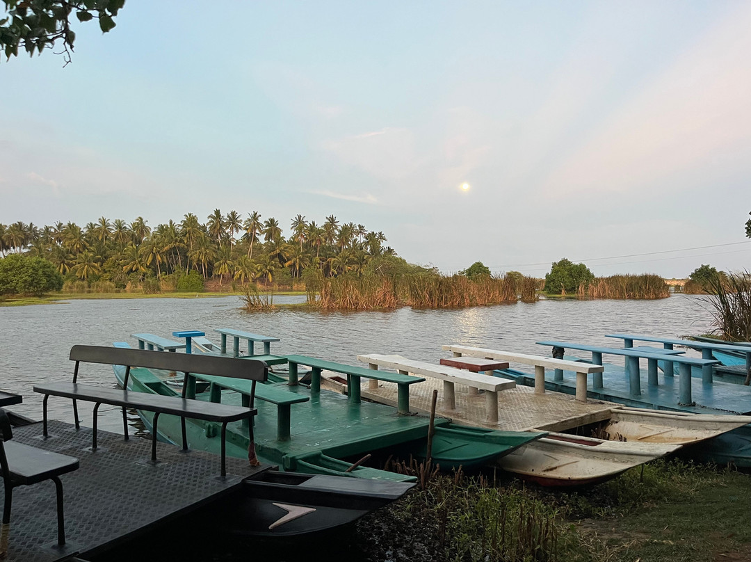 Kalametiya Eco Bird Watching-Kalametiya必去景点