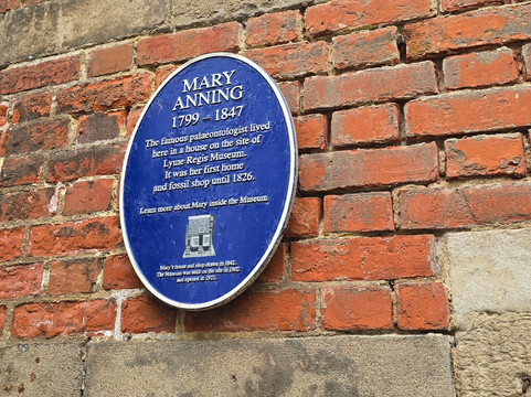 Lyme Regis Philpot Museum-莱姆里杰斯必去景点