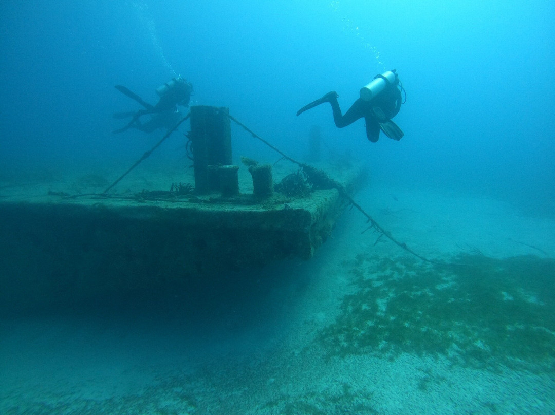 Neal Watson's Bimini Scuba Center-Alice Town必去景点