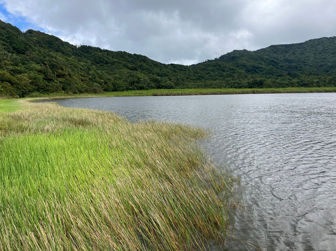 Grand Etang Lake-Grand Etang National Park必去景点