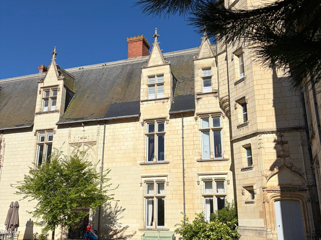 Chateau de Dissay-Dissay必去景点