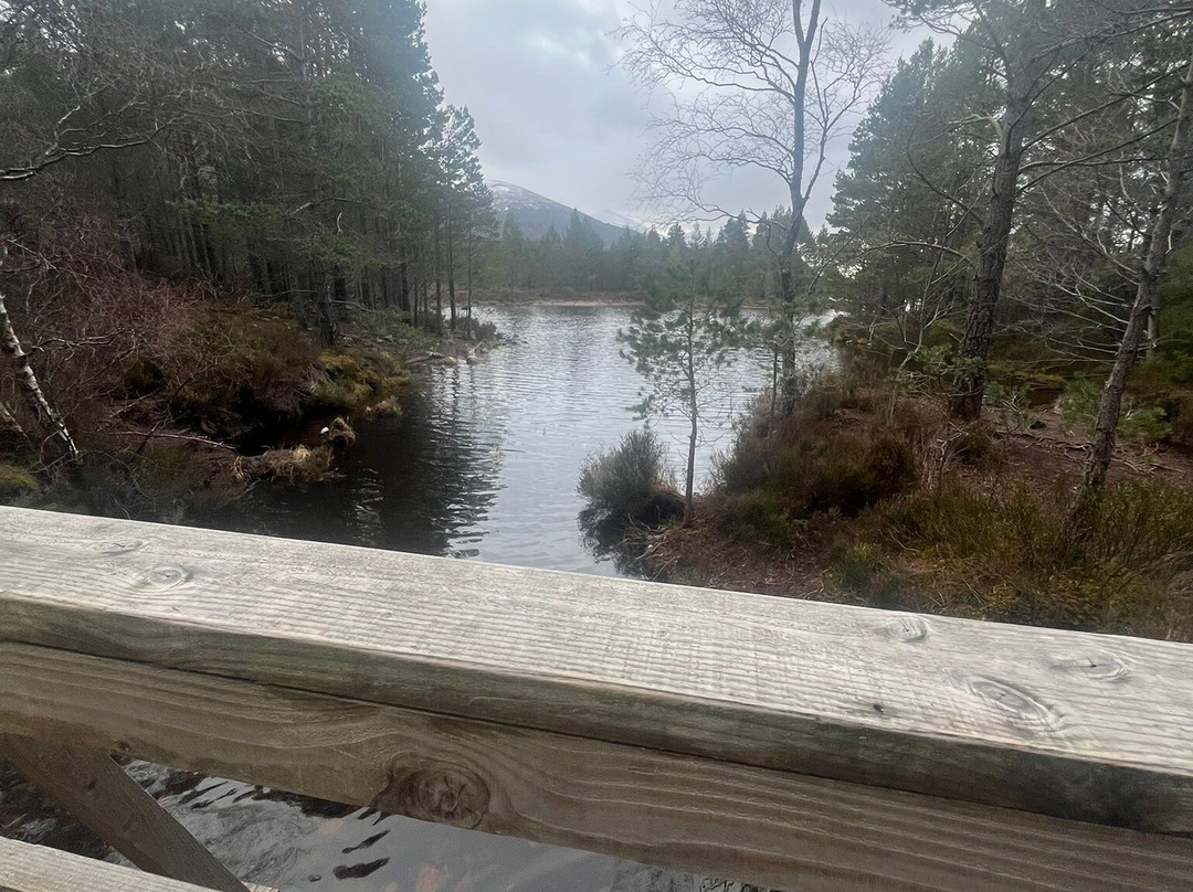 Loch an Eilein-阿维莫尔必去景点