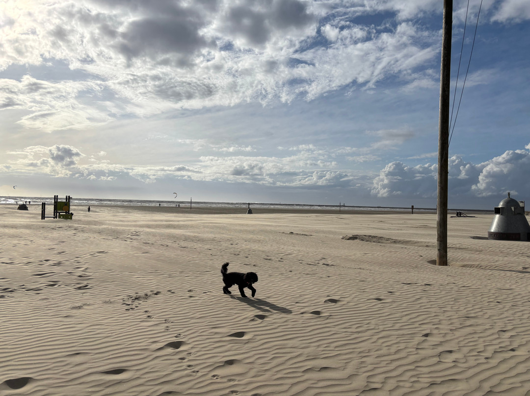 Basecamp IJmuiden主图