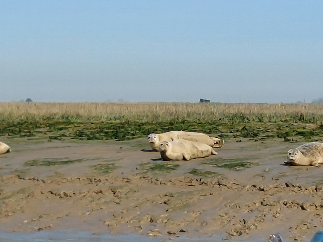 Discovery Seal Trips-Rochford必去景点