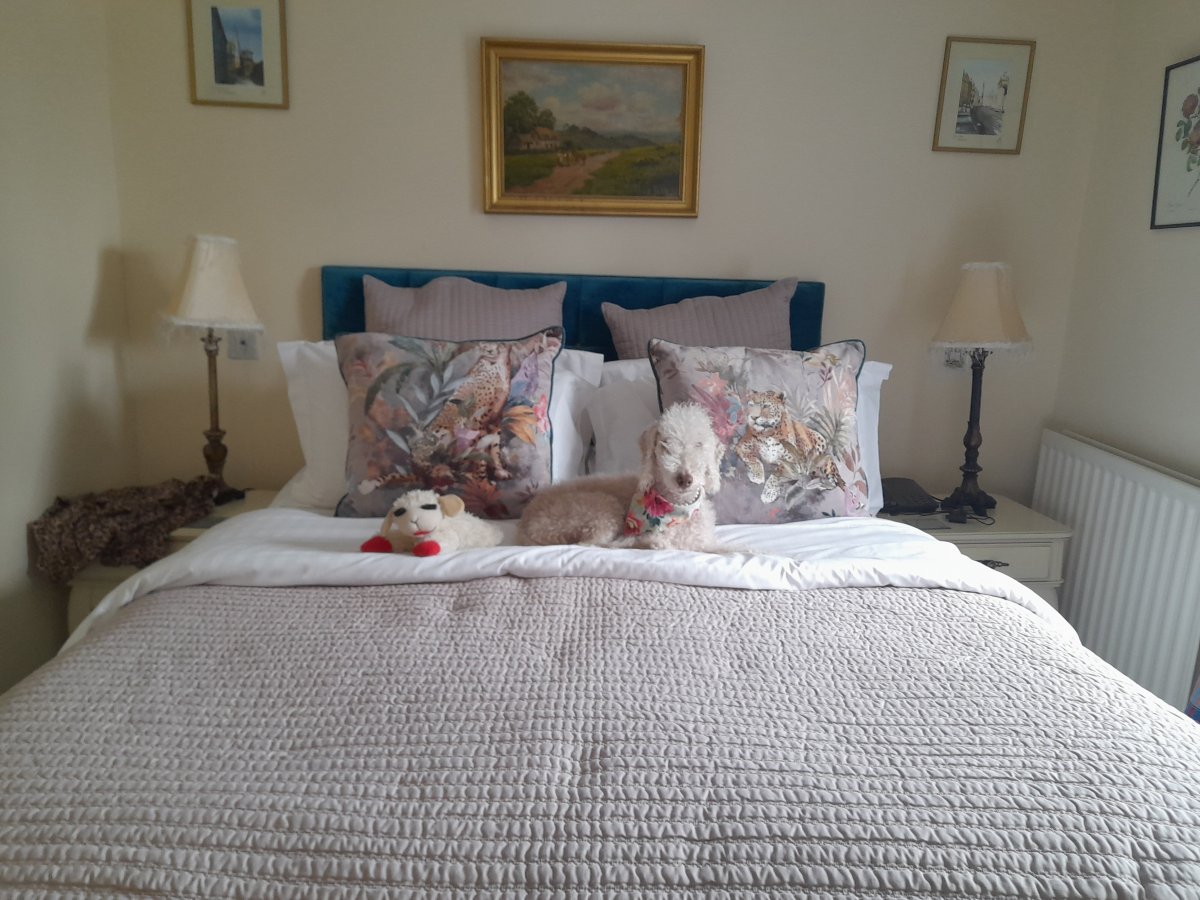 沃克沃斯之家酒店-官方