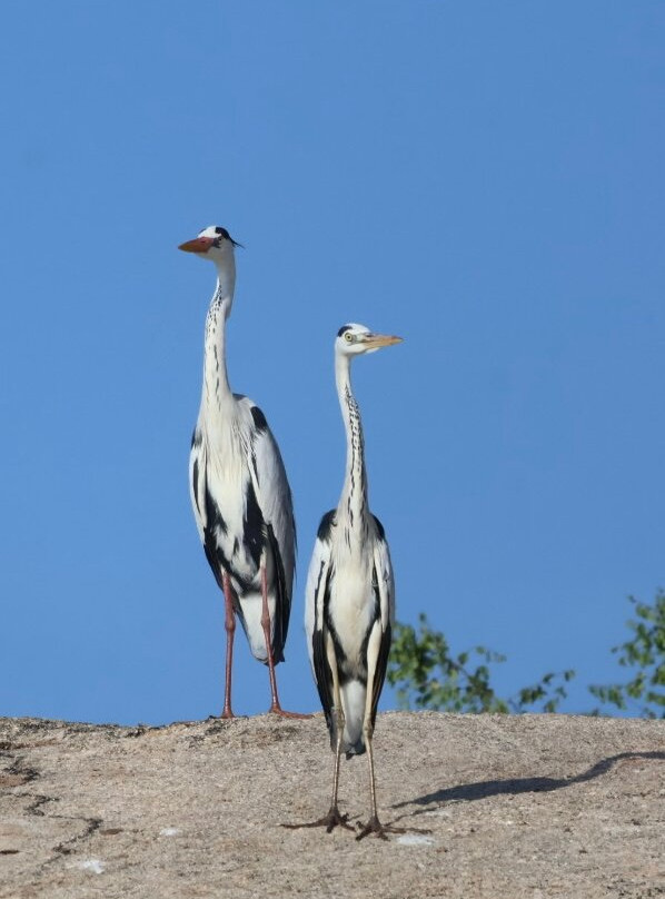 Different Discovery Tours-卡图纳耶克必去景点