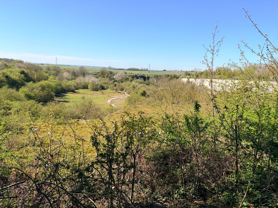 Monkton Nature Reserve-Ramsgate必去景点